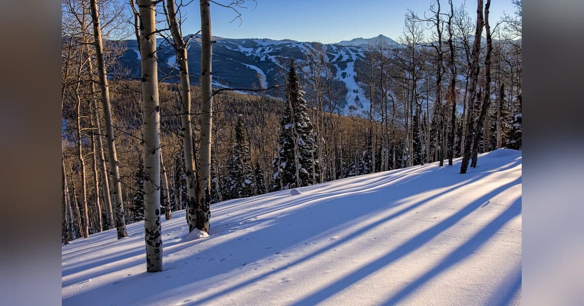 Vail's Structural Limits Make True Ski-In/Ski-Out a Rare and Costly Commodity