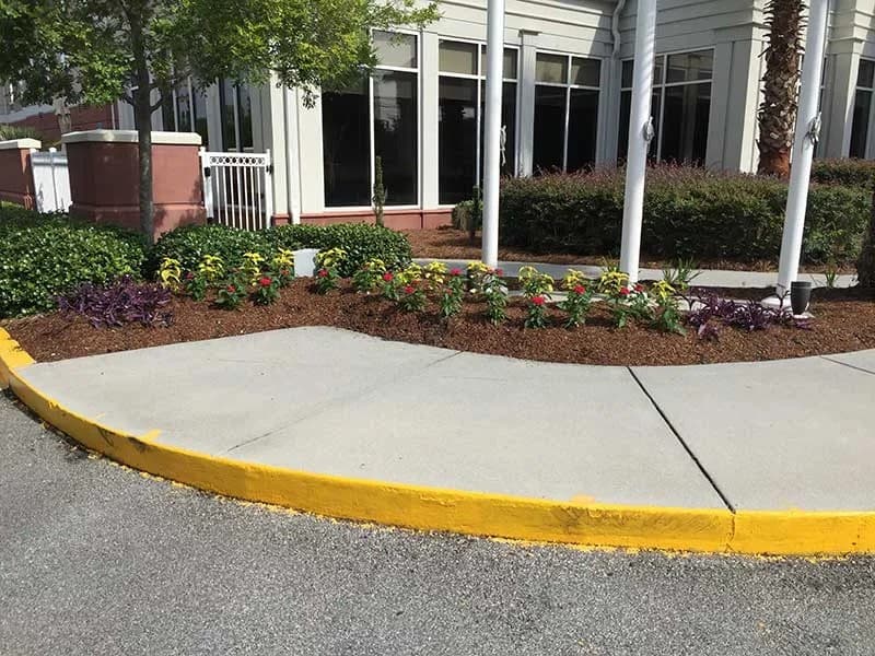 Turf Scouts Marks 15 Years of Residential Lawn Services in Savannah and Isle of Hope