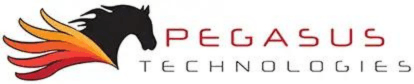Pegasus Technologies Unveils Data Protection Standards to Shield Law Firms from Advanced Cyber Threats