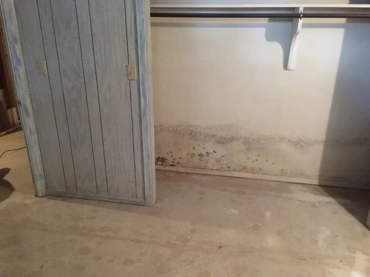 FreshCo Cleaning & Restoration Expands Mold Remediation Services in Wichita with Structured Inspection and Air Quality Verification