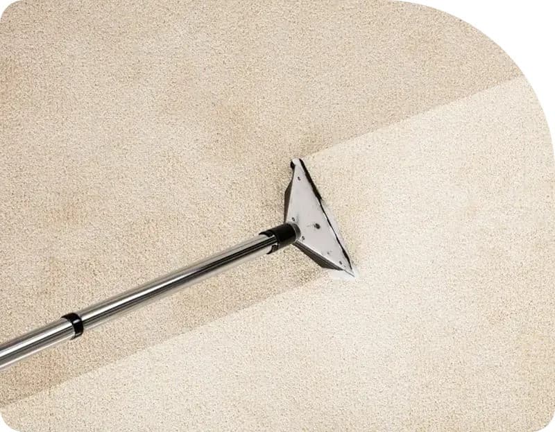 Flood Squad Sets New Standards in Water Damage Restoration in Sydney