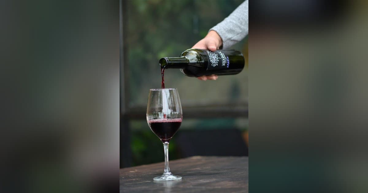 10Musica Releases Updated Guide on Wine Calorie Counts by Type and Serving Size