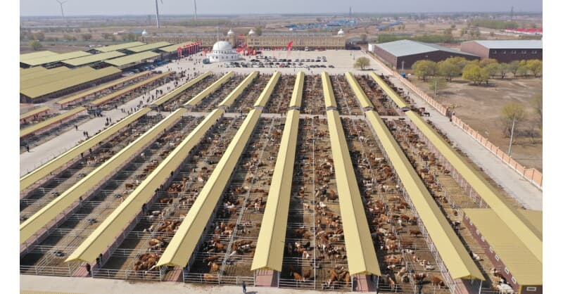 Hinggan League Agricultural, Cultural and Tourism Consumption Carnival Opens in Beijing