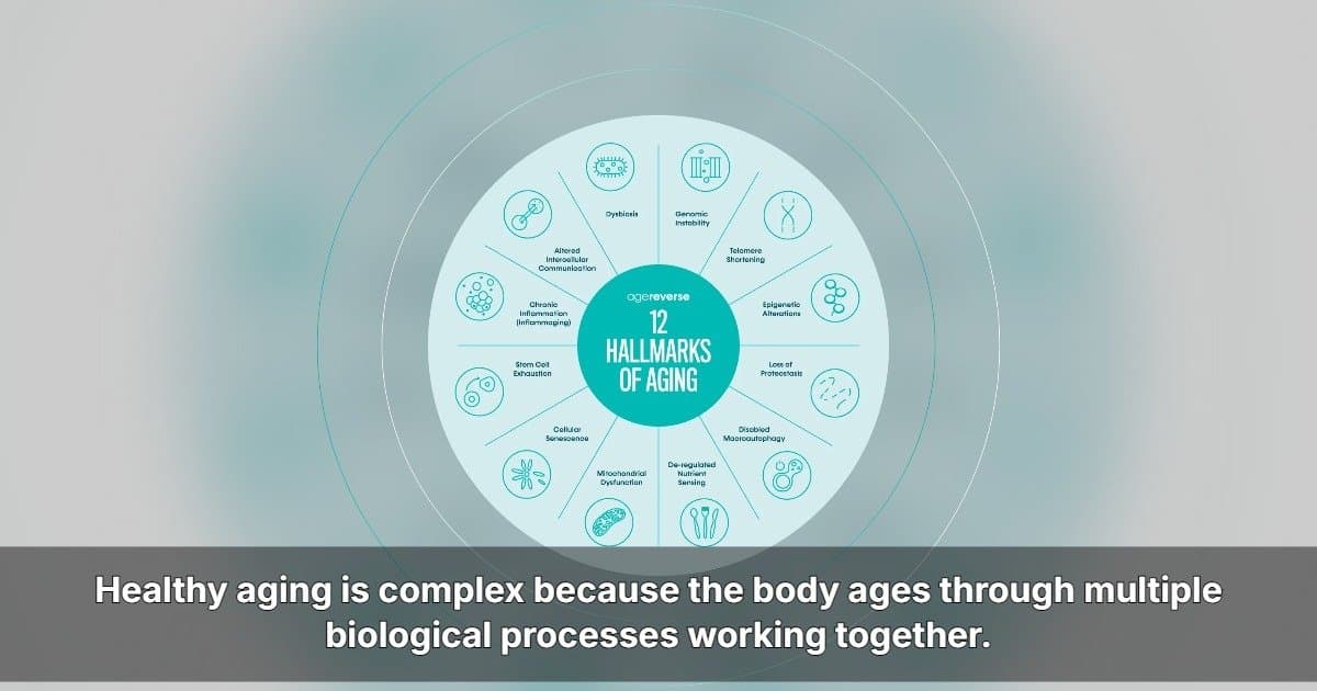AgeReverse Announces U.S. Expansion with Comprehensive Longevity Approach