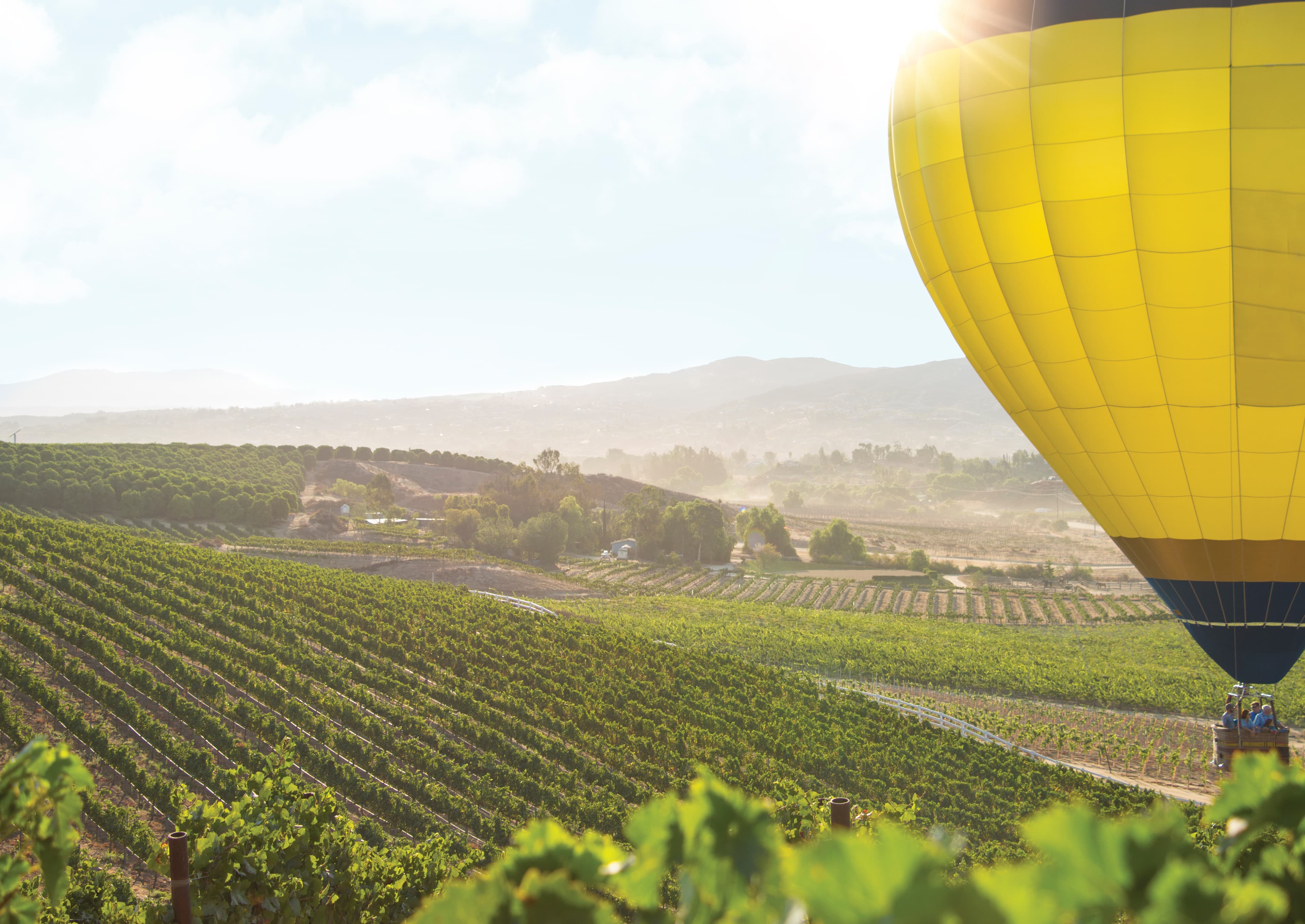 SoCal Wine Country EDC Touts Skilled Workforce and Veteran Population as Key Economic Drivers