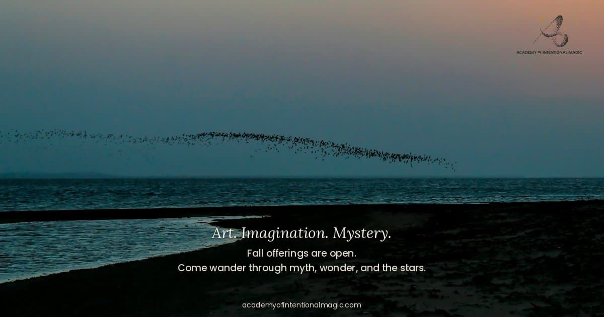 Academy of Intentional Magic Launches as a Multidisciplinary Haven for Artists
